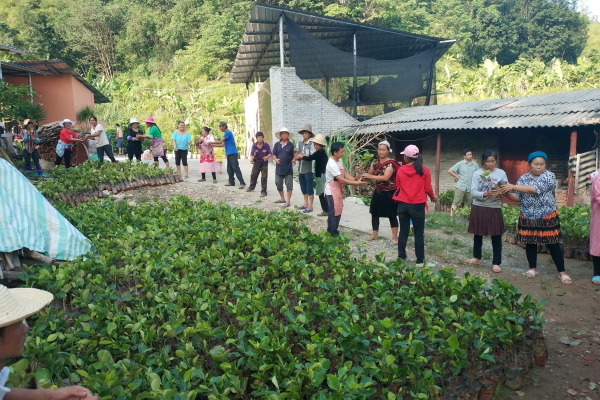 协力发展共同给种苗下车01 协力发展共同给种苗下车01