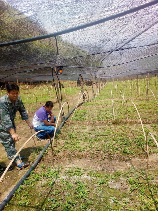 乡村干部到各企业进行有关项目落地的实地考察01 乡村干部到各企业进行有关项目落地的实地考察01